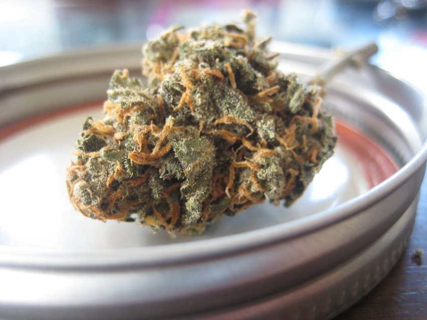 Les avantages du cannabis